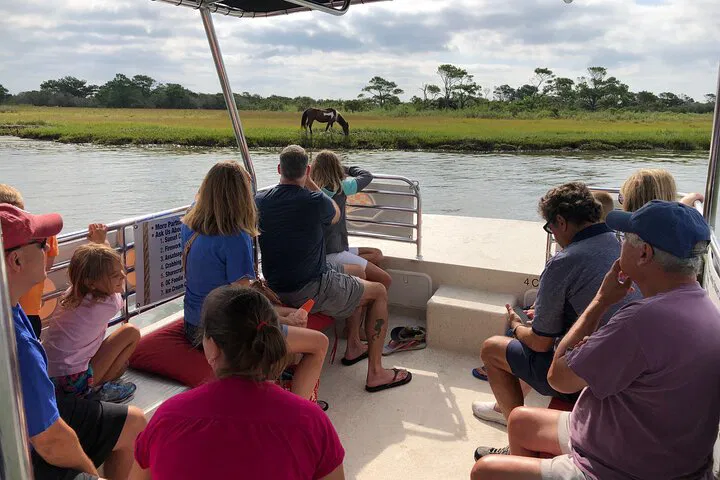 Assateague Island Pony Cruise: Unforgettable Wildlife Adventure