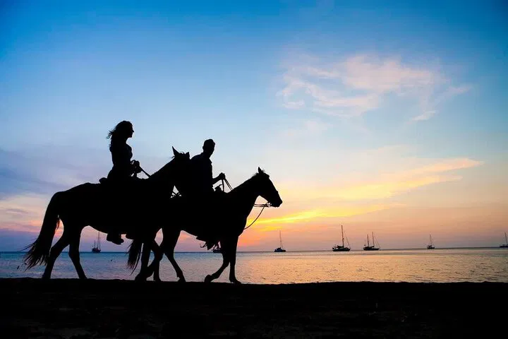 Sunset Serenity: Horseback Riding on Phuket's Shores