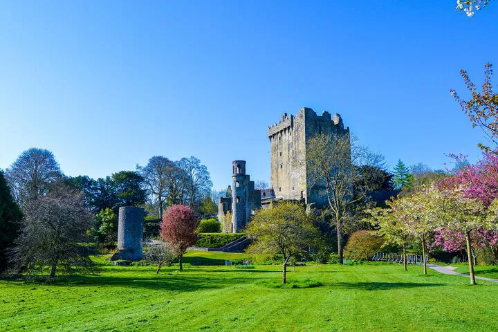 Blarney Castle & Kinsale Private Day Tour from Cork