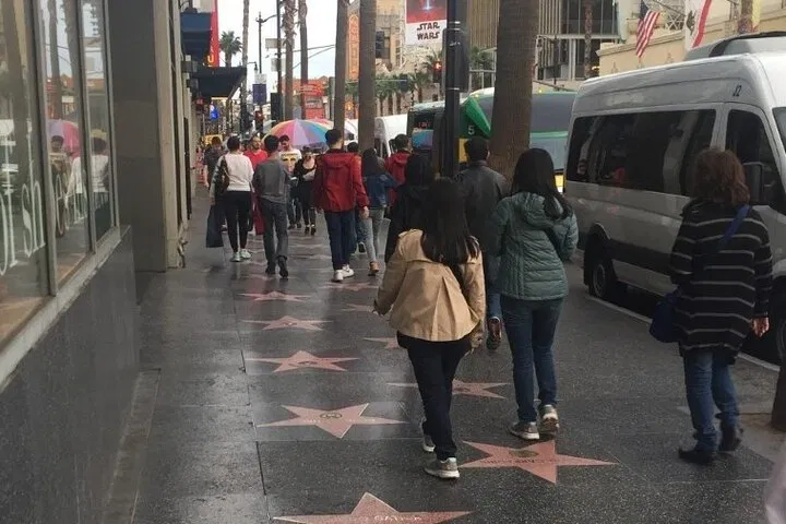 Discover LA's Charm: Your Personalized Private City Tour!