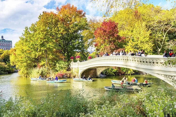 Uncover Central Park's Secrets: A Historical Walking Adventure