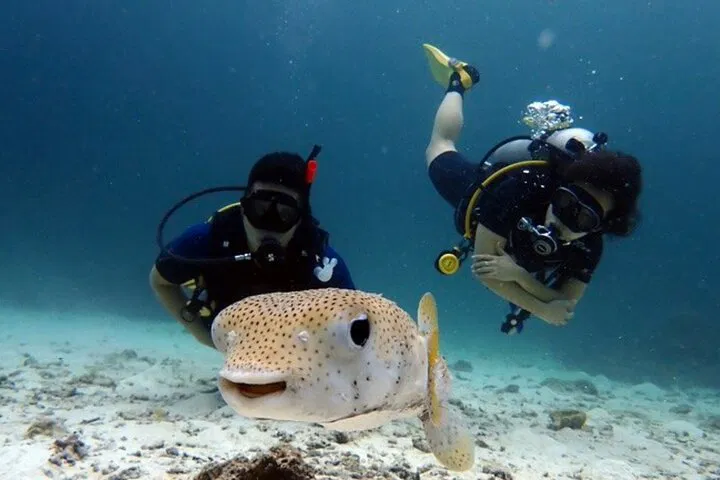 Phuket Scuba: Racha Yai & Noi Diving for Beginners!