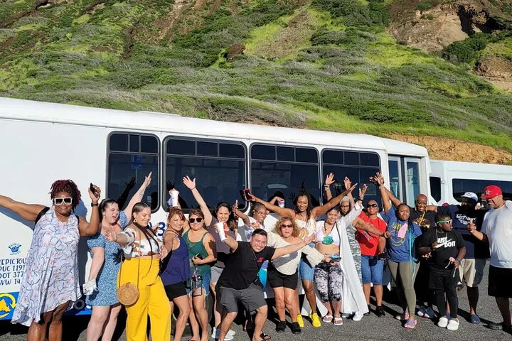 Oahu Circle Island Tour: Swim with Turtles, Dole & Blowhole!