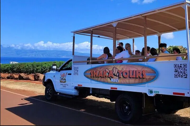 Maui Banyan Tree & Blowhole Open-Air Sightseeing Tour!