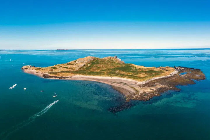 Ireland's Eye Boat Tour: Puffins, Seals & Island Trip!