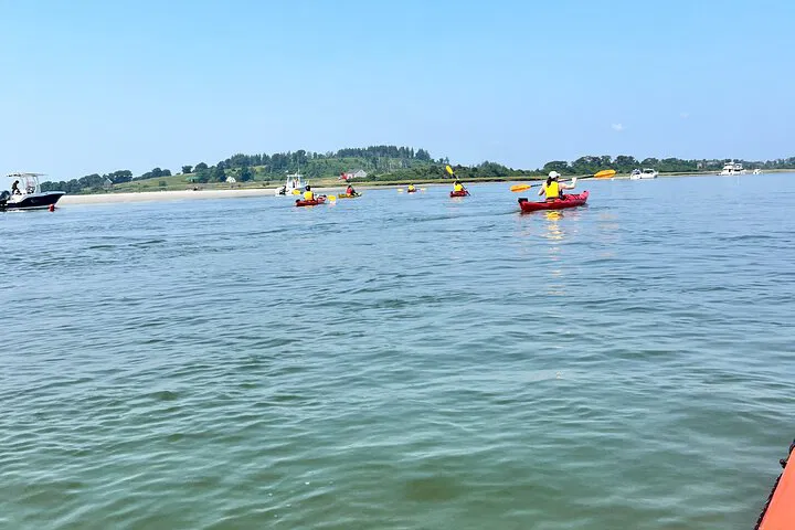 Kayak Crane Estate: Guided Tour & Beach Time
