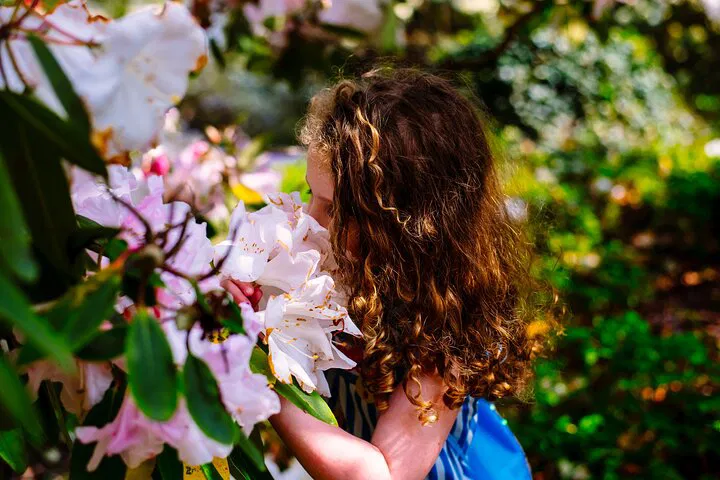 Explore Ireland's Global Garden: Mount Congreve Tickets