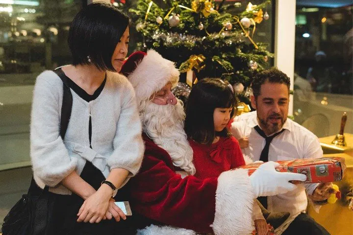 Enchanting Christmas Dinner Cruise: Seine River Magic