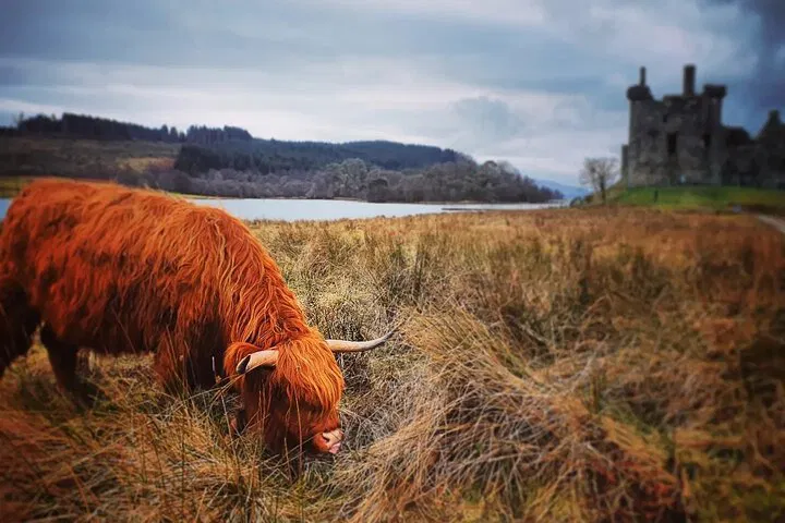 West Highlands, Oban & Glencoe Private Day Tour