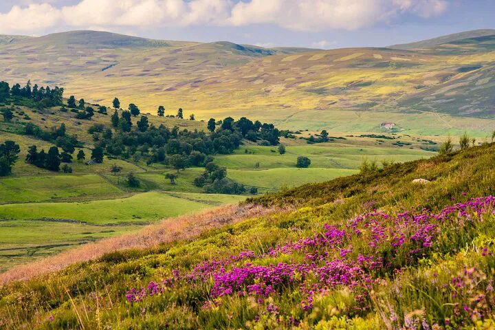 Discover Scotland's Majesty: A 4-Day Adventure from Manchester