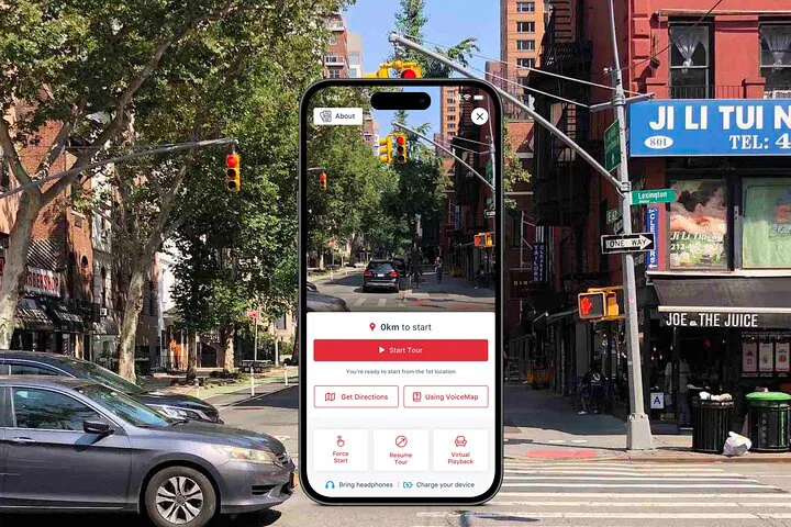 Walk in Didion's Footsteps: An Immersive Manhattan Audio Tour