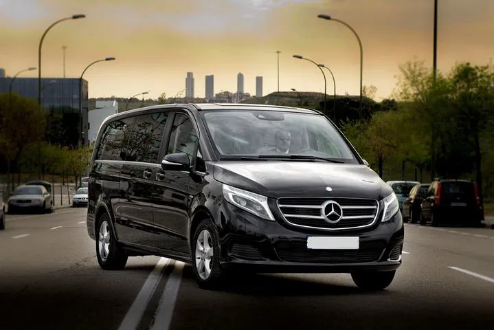 Stress-Free Disneyland Paris Transfer: Private Round Trip from Paris & Airports