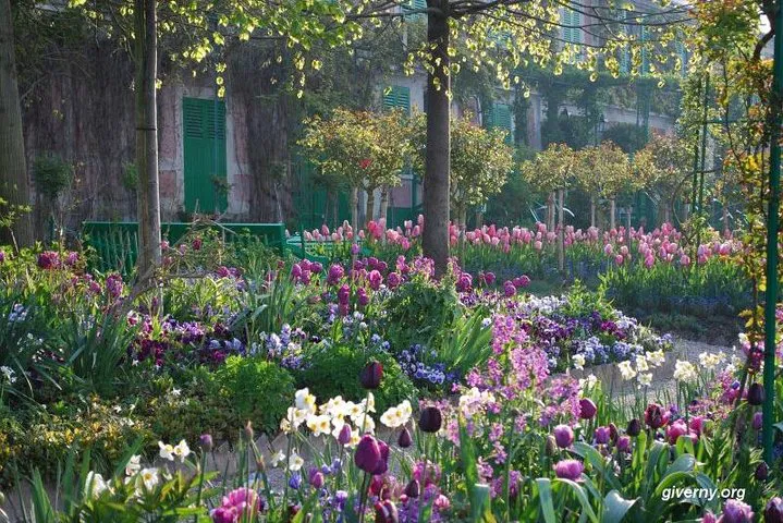 Step into Impressionism: Monet & Van Gogh's World Private Tour