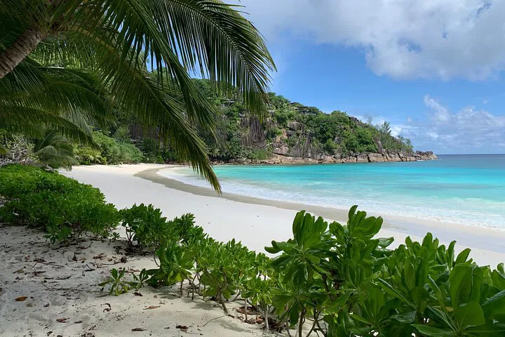 Unwind in Paradise: Mahe Seychelles Private Beach & Snorkeling Tour