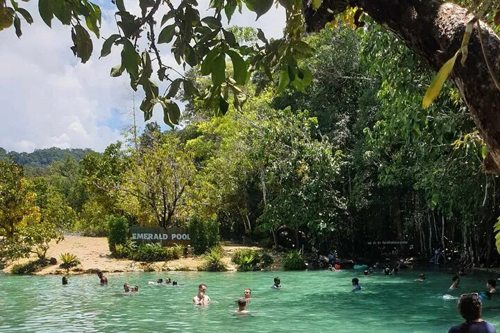 Discover Krabi's Hidden Gems: Jungle Tour Adventure!