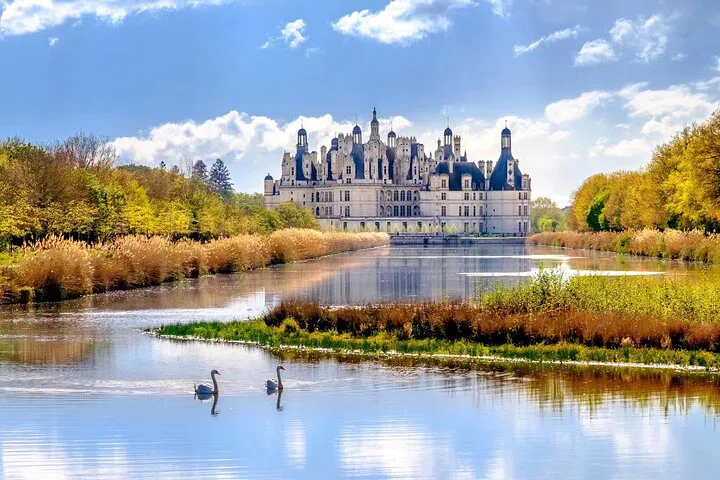Loire Valley Castle & Wine Half-Day Trip