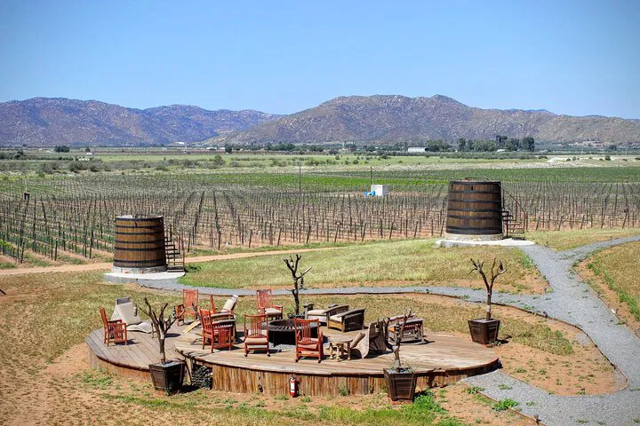 Uncork Valle de Guadalupe: Private Wine Tour Adventure