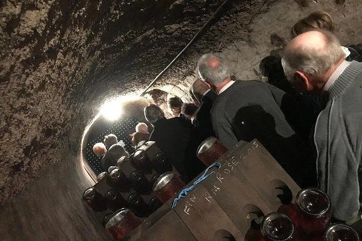 Unearth Champagne's Legacy: A Grand Cru Tasting Journey