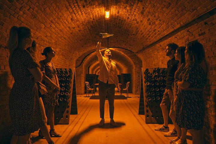 Champagne Delights: An Afternoon of Tasting and Vineyard Secrets near Epernay