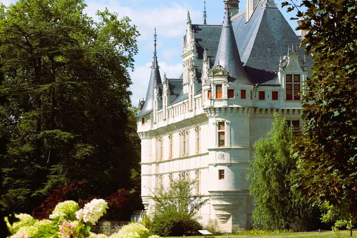 Loire Valley Castles: A Royal Chauffeur-Driven Adventure from Paris