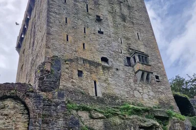 Image 3