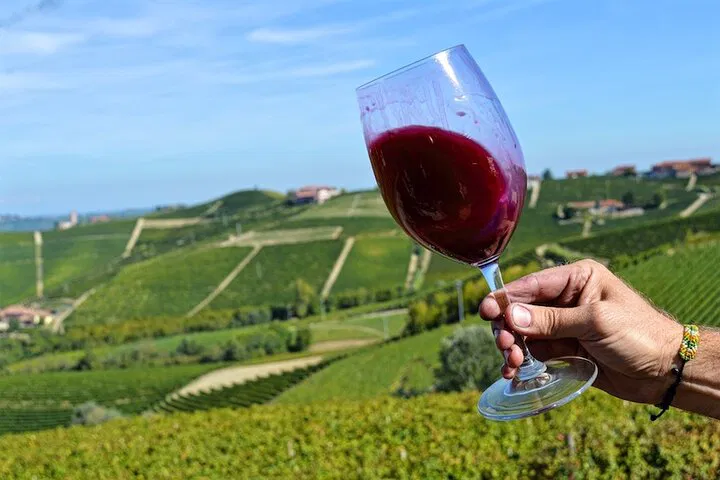 Piemonte Wine Tour: Luxury Car & Chauffeur from Turin