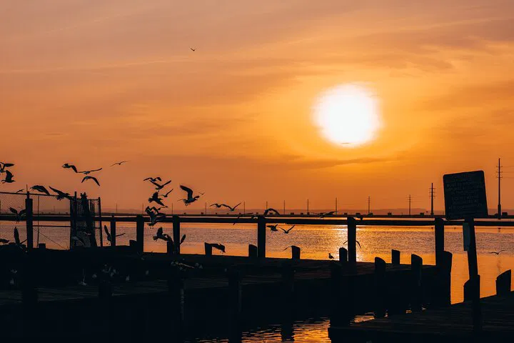 Sunset Spectacle: Dewey Beach Pontoon Party!