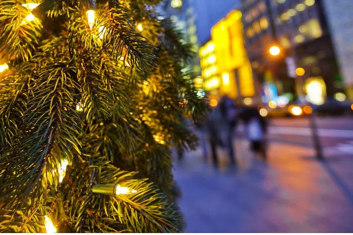 NYC Holiday Trees & Treats Crawl: A Festive Adventure Awaits!