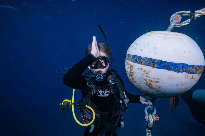 Maui's Underwater Paradise: Dive with Sharks & Turtles in Belize!