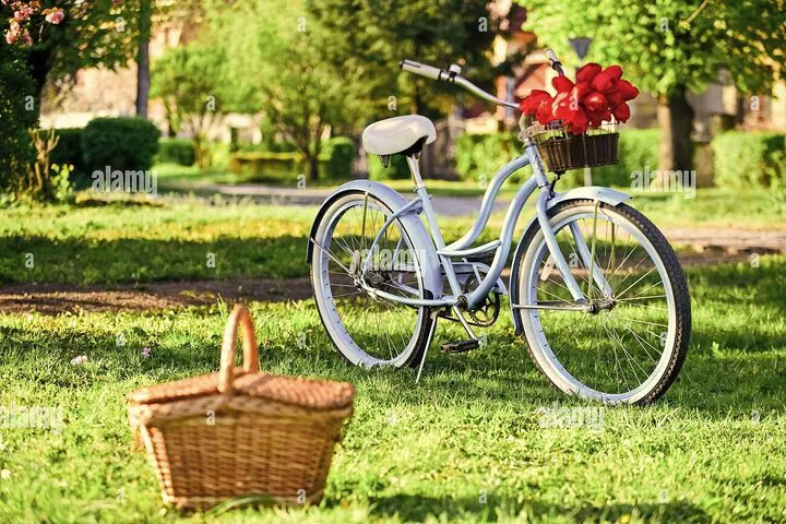 E-Bike & Gourmet Picnic: Pedal Through Provence's Olive Groves