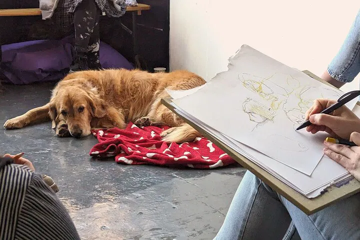 Unleash Your Inner Artist: Dog Life Drawing in Bristol!