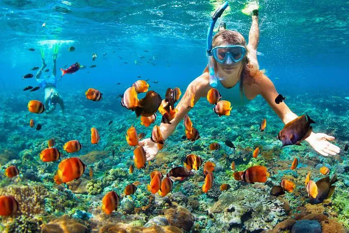 Phi Phi Islands Speedboat Adventure: Snorkel, Sightsee & Savor!