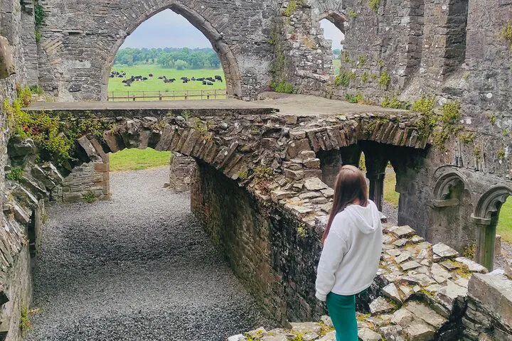 Discover Ancient Ireland: A Personal Tour to Hill of Tara, Trim Castle & Boyne Valley