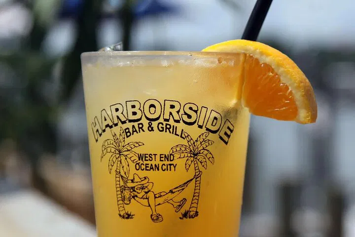 Sip & See: Harborside Orange Crush Cruise to Wild Pony Paradise!