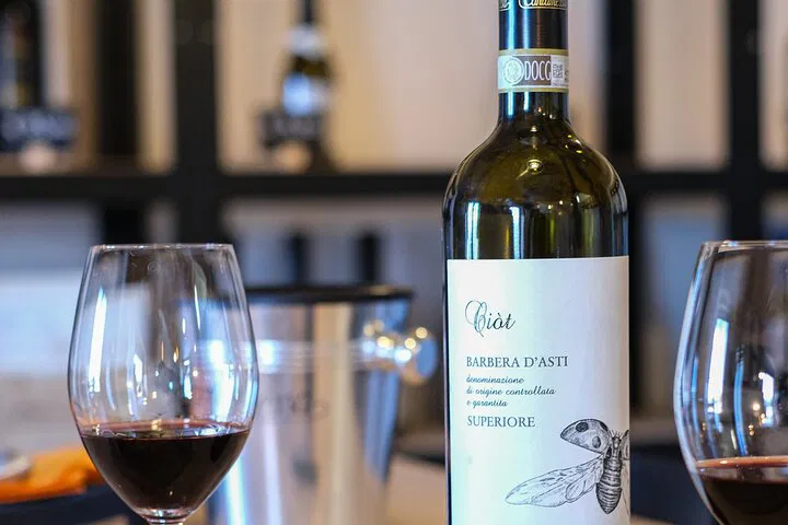 Wine Tour & Tasting: Discover Local Flavors!