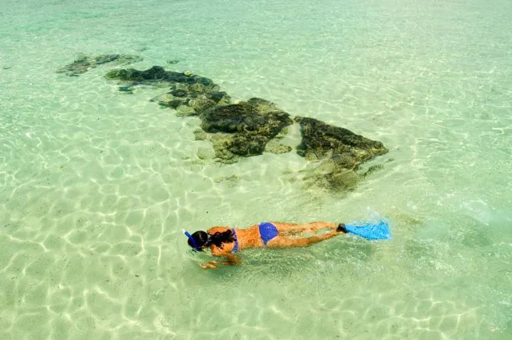 Makena's Aquatic Wonders: A Kayak & Snorkel Adventure on Maui's South Shore