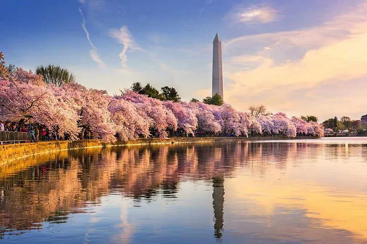 East Coast Spring: Cherry Blossoms & Cityscapes 3-Day Tour from Boston