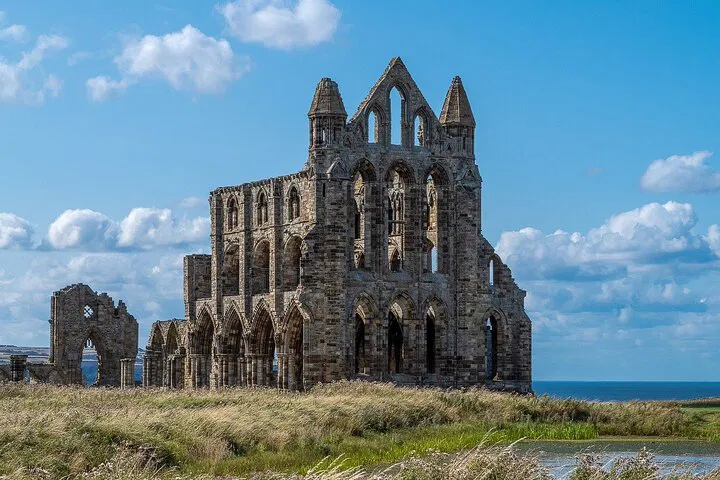 Unleash Your Inner Explorer: North York Moors Adventure Awaits!