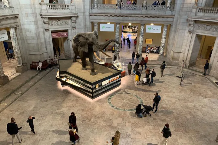 Smithsonian Natural History Museum Guided Tour