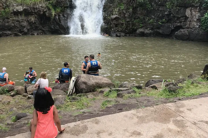 Explore Oahu's North Shore: Waimea Falls, Turtle Swim & Macadamia Farm