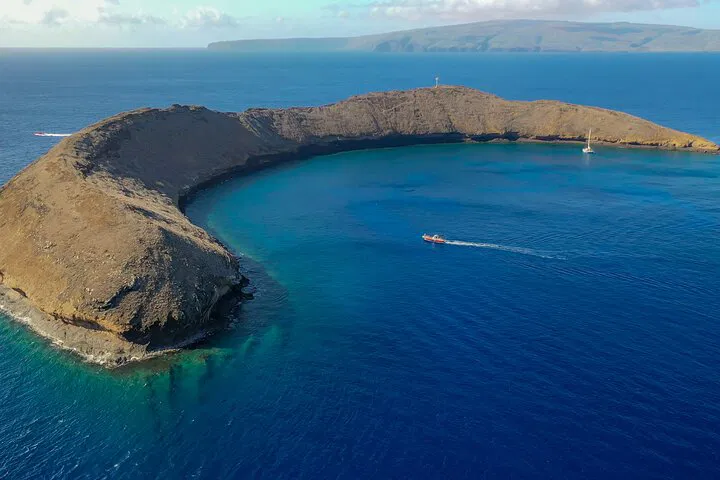 Molokini Snorkel & Turtle Town Cruise From Kihei!