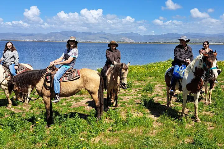 Ensenada's Ultimate Combo Ride: Hills, Tacos & Beach Bliss!