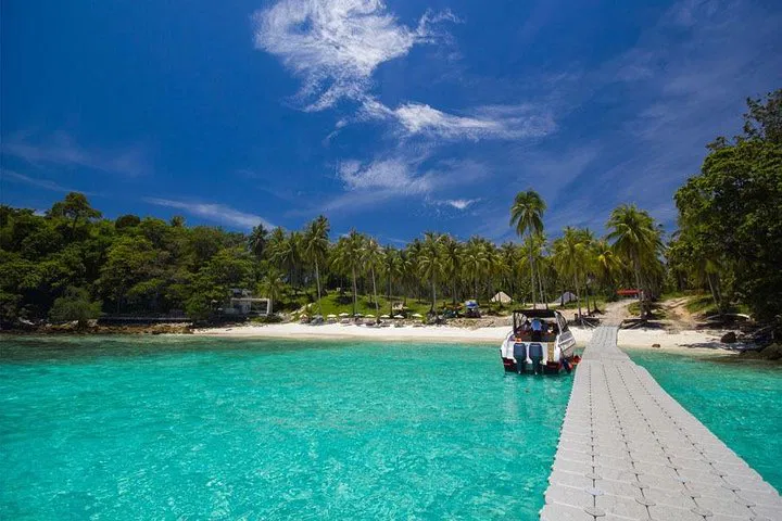 Phuket's Aquatic Gem: Raya Island Snorkeling & Dolphin Quest!