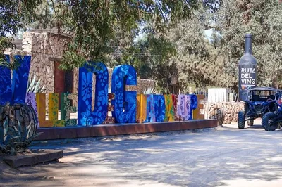 Image 3