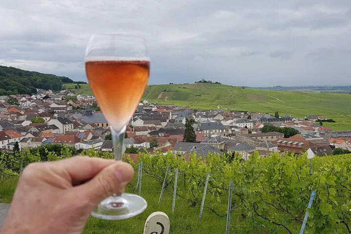 Uncover Champagne's Secrets: A Luxurious Day Trip from Paris