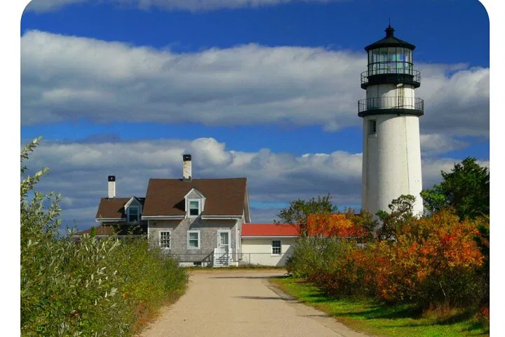 Outer Cape Exploration: Lighthouse & Museum Voyage