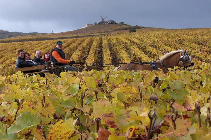 Champagne Dreams: An All-Inclusive Day Trip from Paris