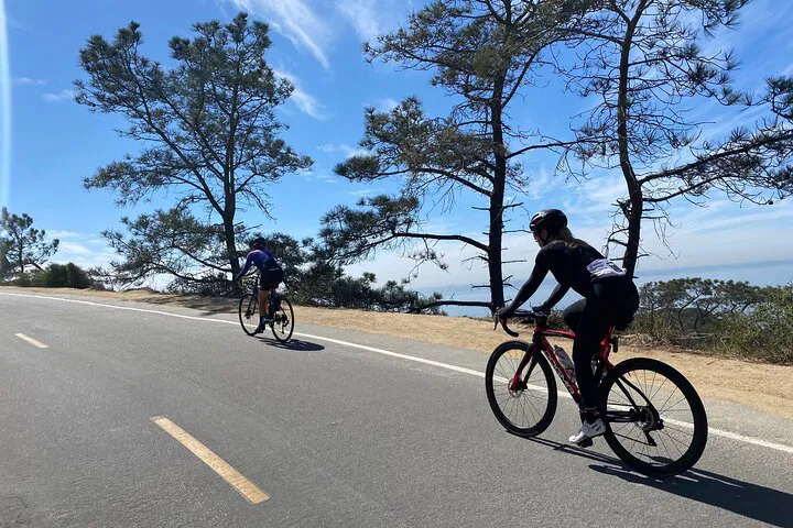 Conquer San Diego's Best Routes: A VIP Road Bike Adventure