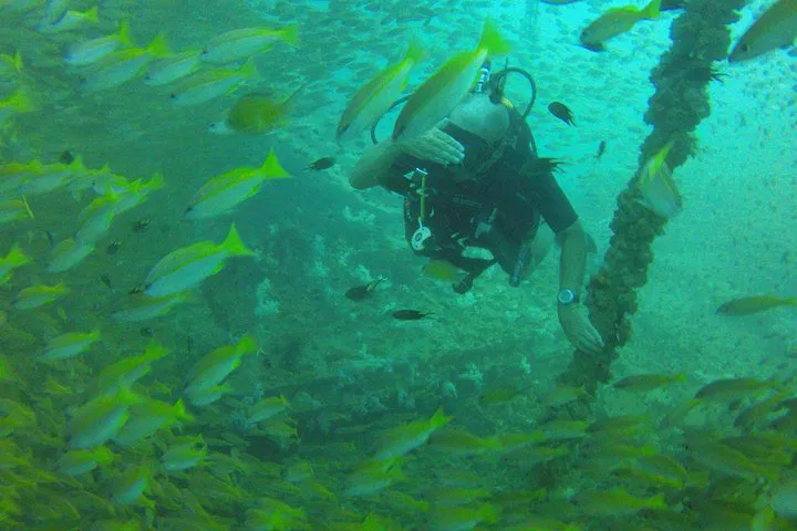Phuket's King Cruiser Wreck Dive: An Underwater Adventure