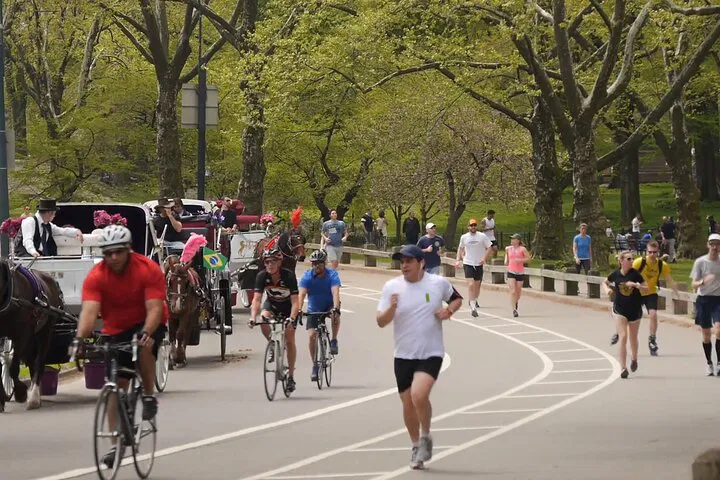 Unlock Central Park's Secrets: A Virtual Tour & Self-Guided Adventure